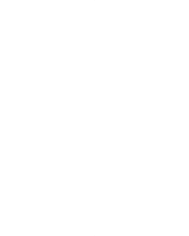 Collier County Florida Sheriff's Office badge outline
