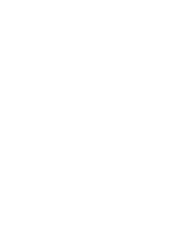 Winston-Salem North Carolina Police badge outline